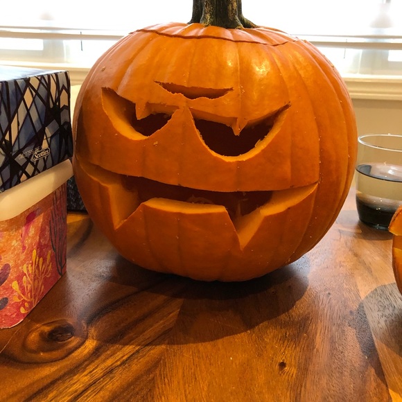 Meet your Posher, Jolly - Picture 1 of 1